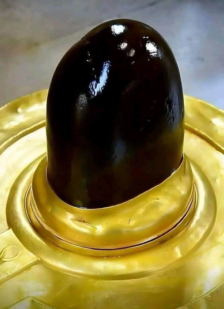 Priya_purohit1's tweet photo. ॐ नमः पार्वती पतेय हर हर महादेव https://t.co/6MWVe17pNq