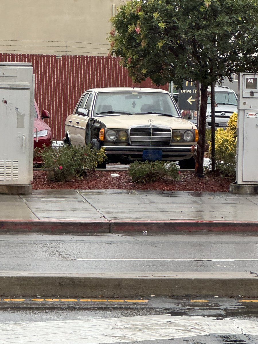 elprootato's tweet photo. @slammed_shep The idiot ™️ https://t.co/Z8evhlwfuW
