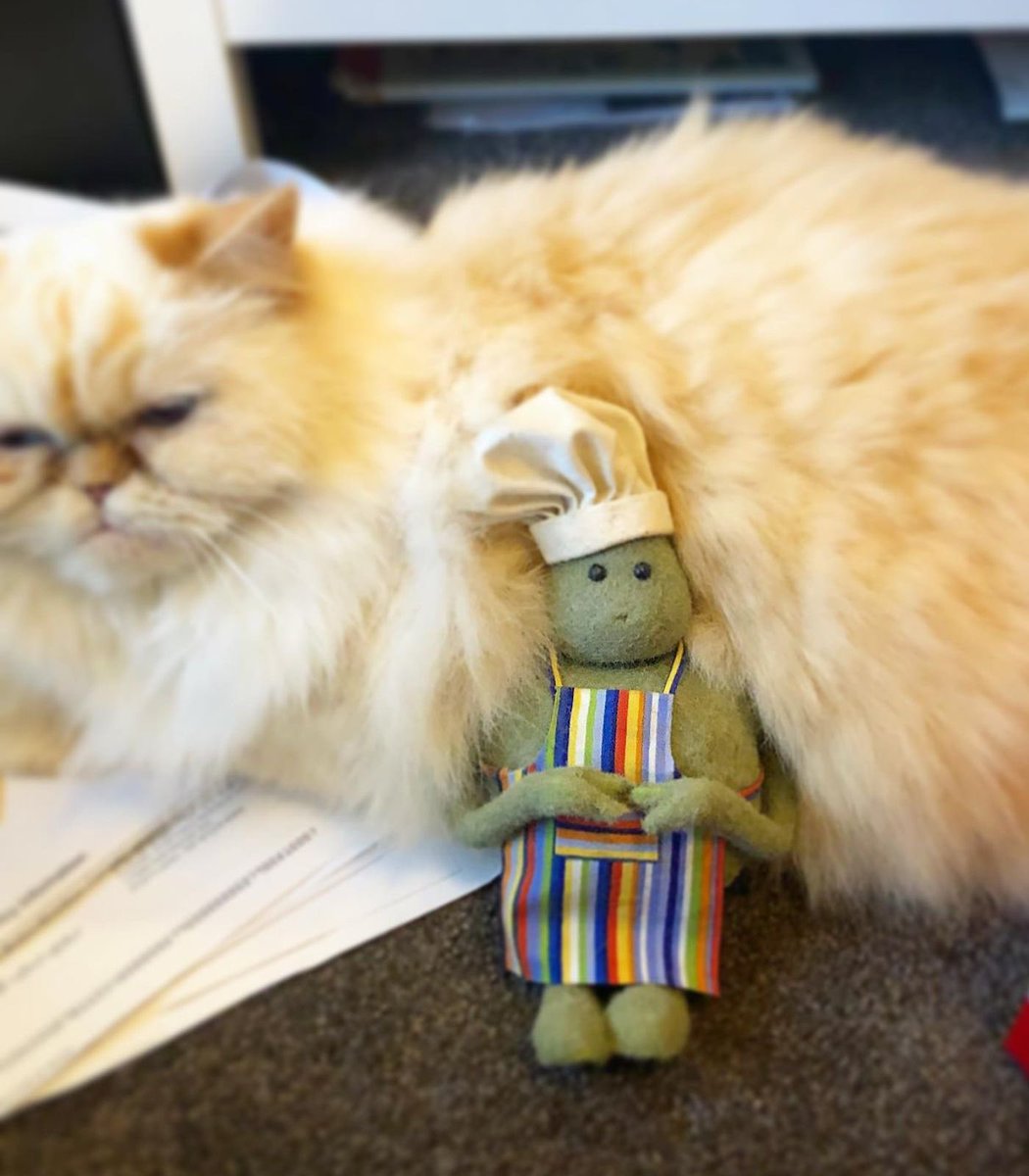 i hold maternal feelings towards this photo.