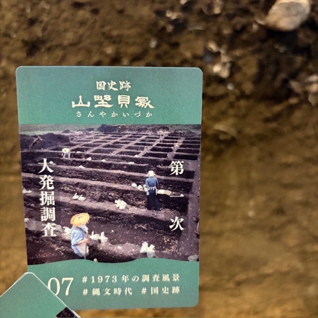 sode_haku's tweet photo. 飯富にある国史跡 山野貝塚のカードを作成しました。

郷土博物館の山野貝塚展示室を見学された方、山野貝塚を訪れた方に1枚ずつ（計１人1日２枚まで）配布します✨

※ カードがなくなり次第、配布を終了します。ランダム配布です。

配布場所　 郷土博物館 受付
#袖ケ浦市郷土博物館 #山野貝塚カード https://t.co/af72QRJJcE