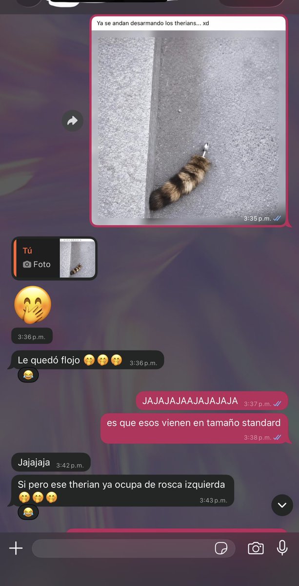 Jade8586's tweet photo. Conversando con un colega 🔥 ahora me debato entre quién será primero @alexxxscol  @blacckbull22  @pareja_colima3 https://t.co/tzFfCxPlUH