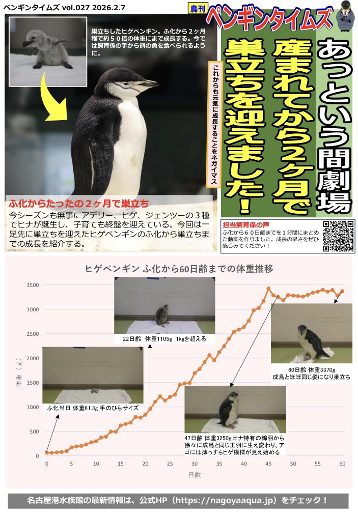 ペンギン。ページ