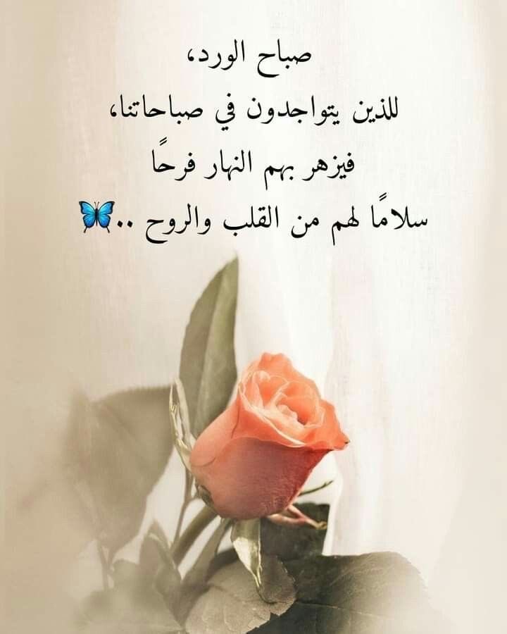 marwavib's tweet photo. ودعائي في هذا الصباح ؛ربي اجعل هذا اليوم يوم خير ﻻ يضيق لنا فيه صدر، وﻻ يخيب لنا فيه أمر، واجعل لنا بكل خطوة توفيق وتيسير وأجر.

#صباح_الخير https://t.co/4EfbKZ2nqY