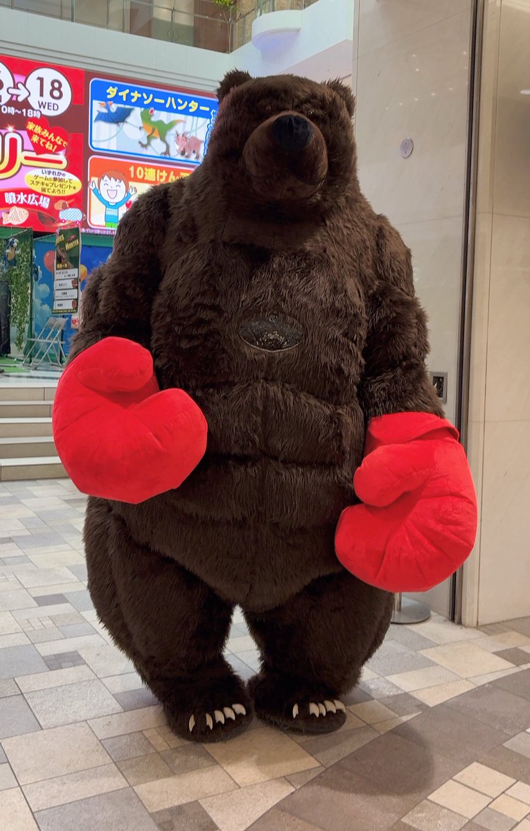 Post by 🎀にゃんめろ🎀 on X: でけーくまいた