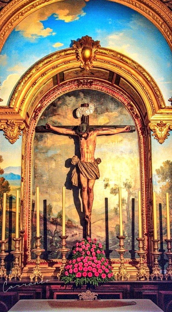 Sunlight_news's tweet image. En la cruz hay vida y salvación ✝️
Nuestra luz en esta Cuaresma