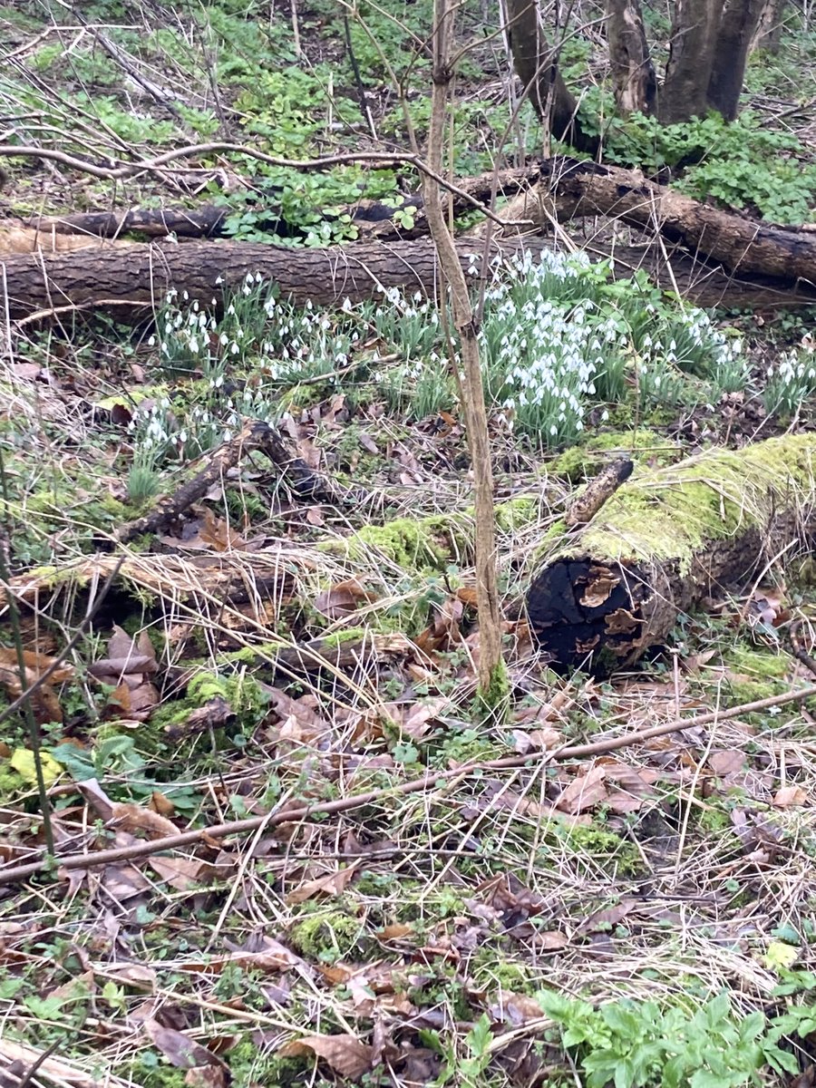 DiscoverDunwich tweet media