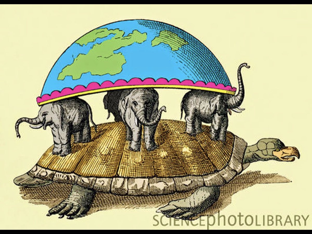 ash..... tweet media