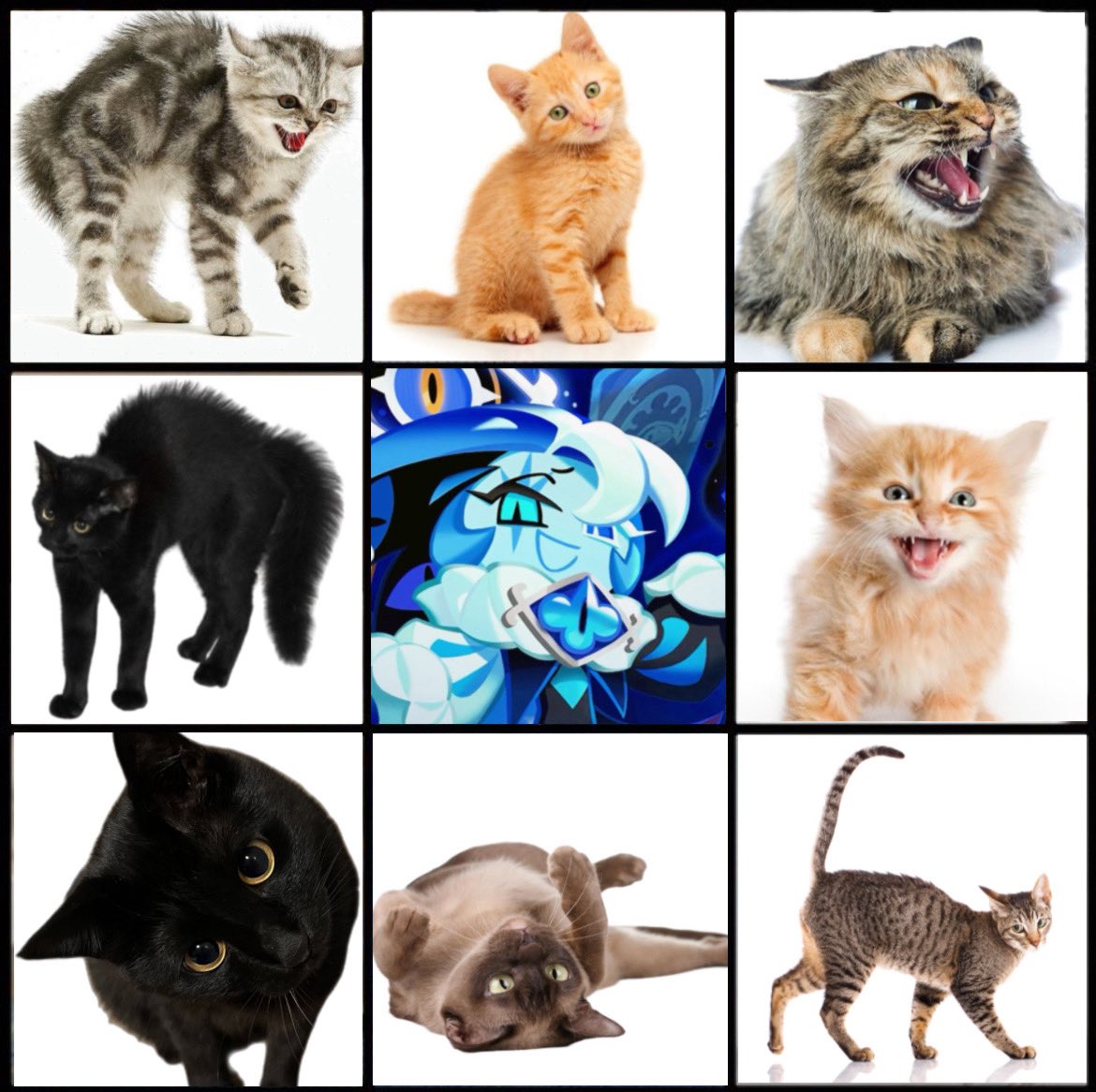 Hey guys look at my shadow milk variants 😊😊😊😊