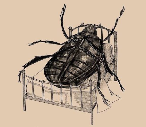 Gregor Samsa

Primer therian de la historia.
