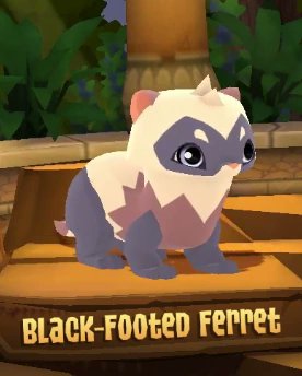 💛 Memory 🧸 tweet media