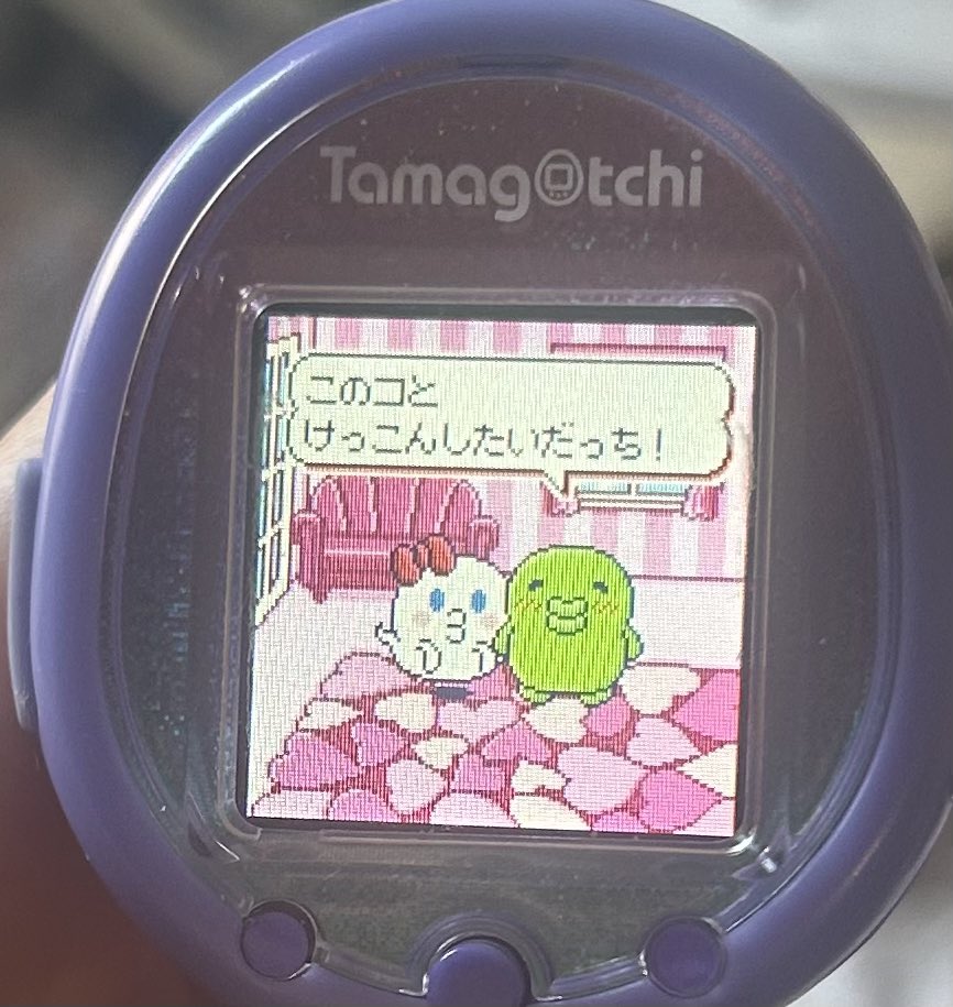 tamagotchi0005's tweet photo. 今回も結婚お断り💍笑笑
ぱっち面食いなのかな？可愛い子ばっかり連れてくる笑笑 https://t.co/ULNMo0bWac