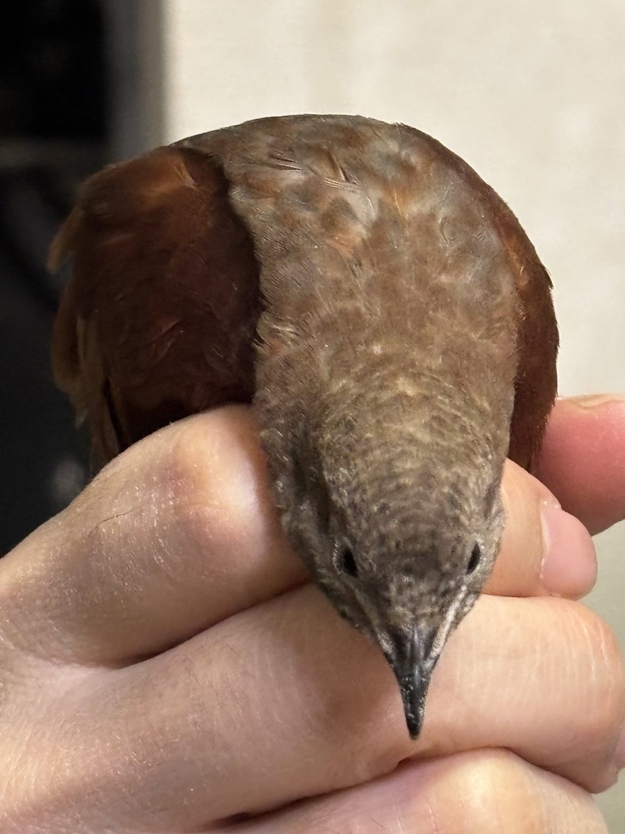 J (@bnzm_j) on Twitter photo 