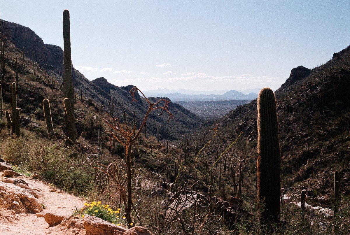 Kelvs____'s tweet photo. been a while since I’ve posted some photography. Acadia, Maine and Bear Canyon, Tucson https://t.co/UiYyK5LpD1