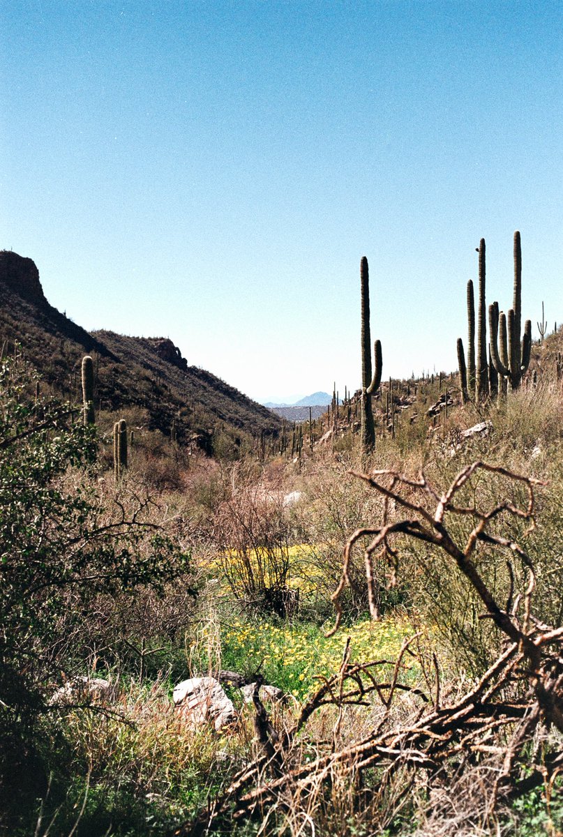 Kelvs____'s tweet photo. been a while since I’ve posted some photography. Acadia, Maine and Bear Canyon, Tucson https://t.co/UiYyK5LpD1
