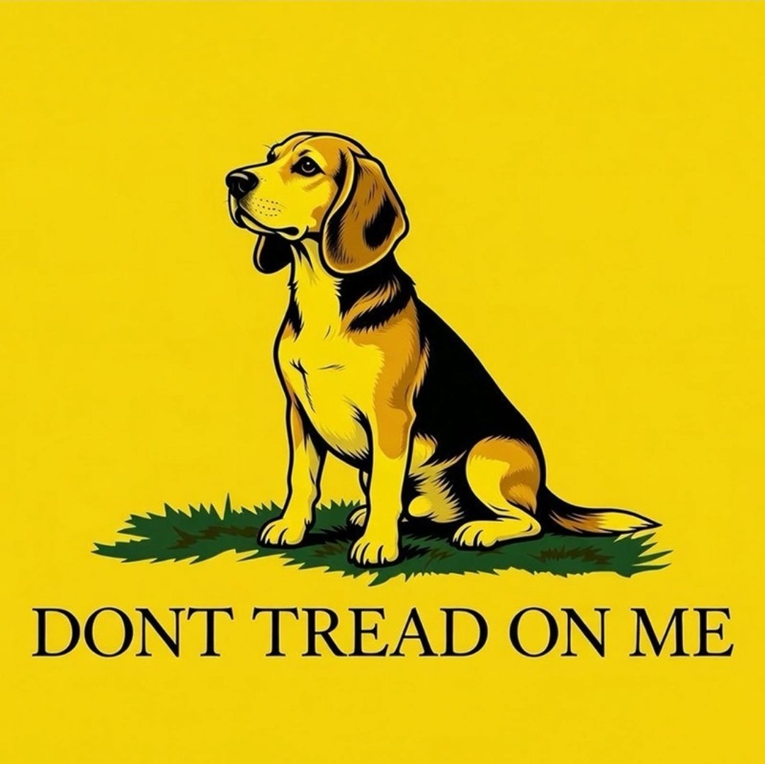 Capt_Geezy's tweet photo. NYC save the $dogs. #dogsnyc
#dog https://t.co/lh05k3B0ez