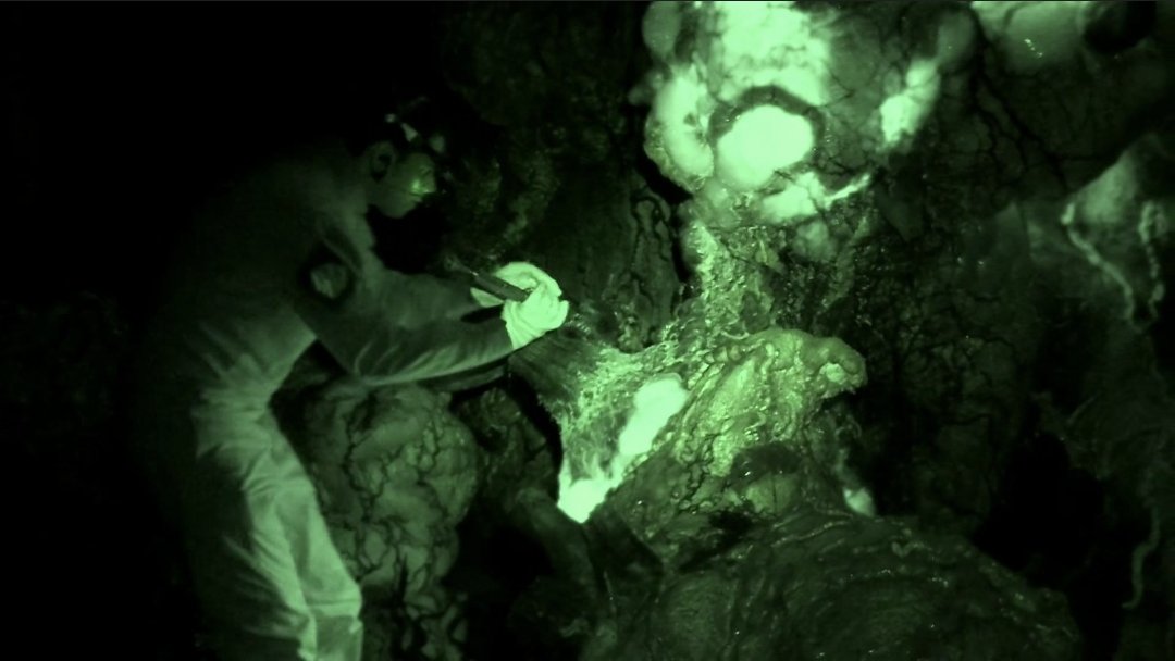 nytcrawler0987's tweet image. Was re-watching #Fringe after 14 years, and in S4E3 Alone in the World is where the #StrangerThings MindFlayer symbiotic relationship was based on 

#Repackaging #ReusingOldStuff