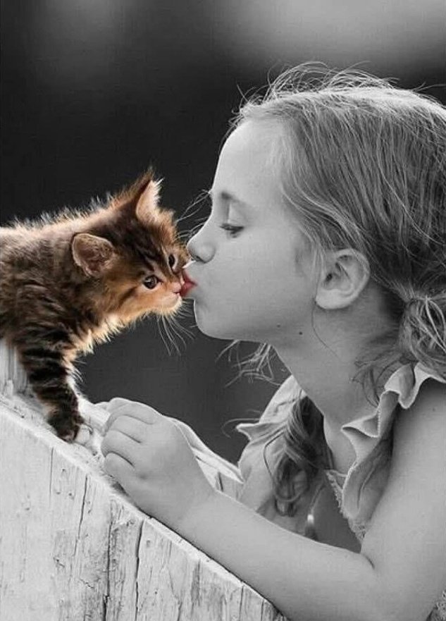 ansssben's tweet photo. @qadya115 @ansssonm 🤞 🤗 https://t.co/A11h2HQ7LU