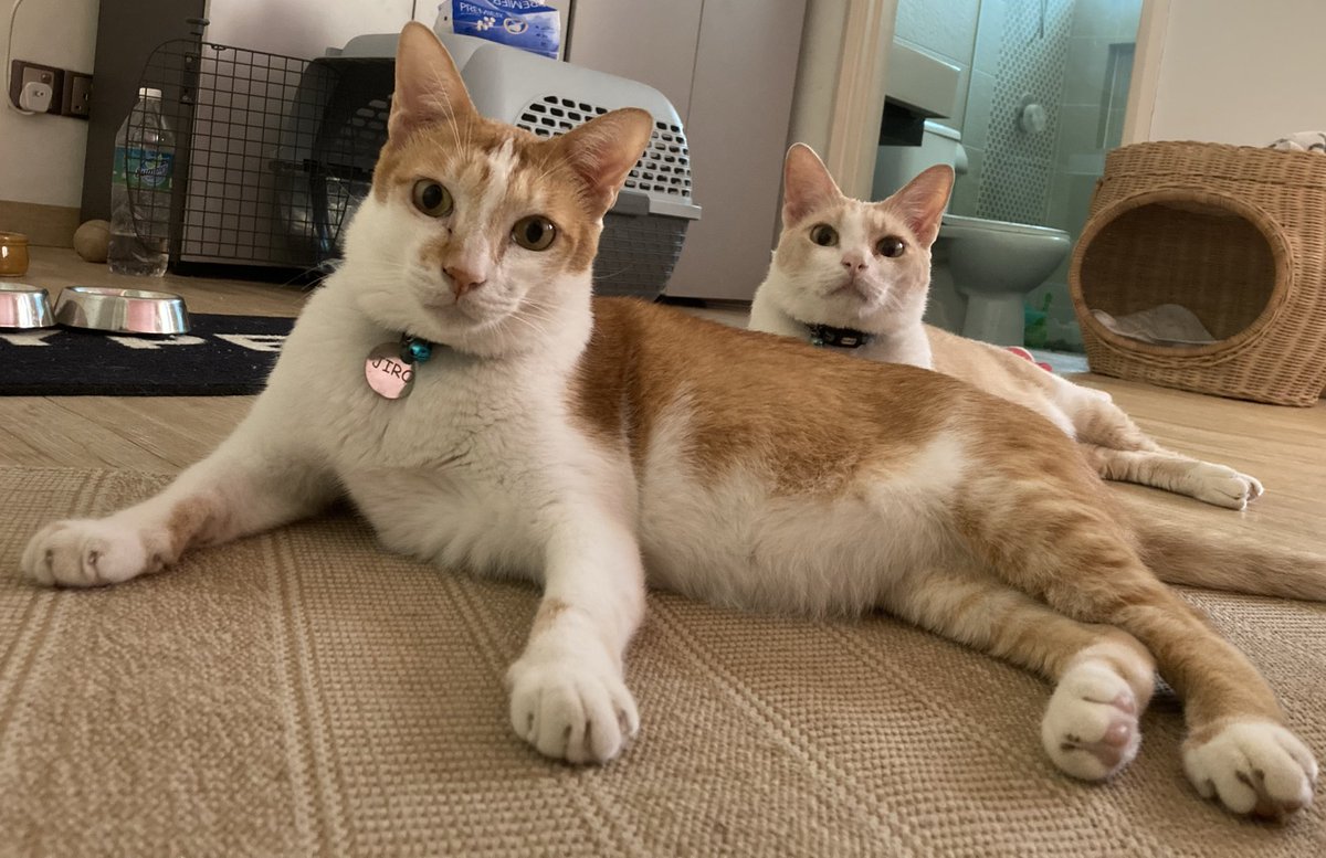 We’re being good boys😌😎🤭