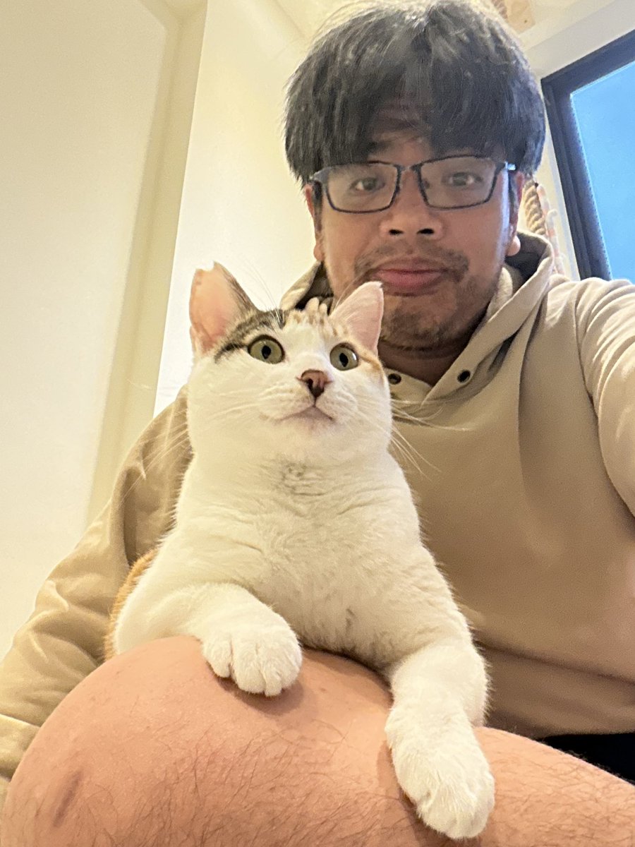 ojm52811 今回の日本旅行で、やっとミケちゃんに会えました。 抗がん剤