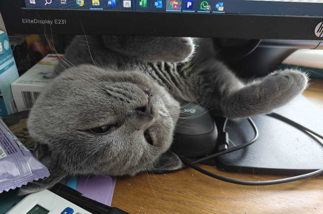 OnlyAccountantsUK tweet media