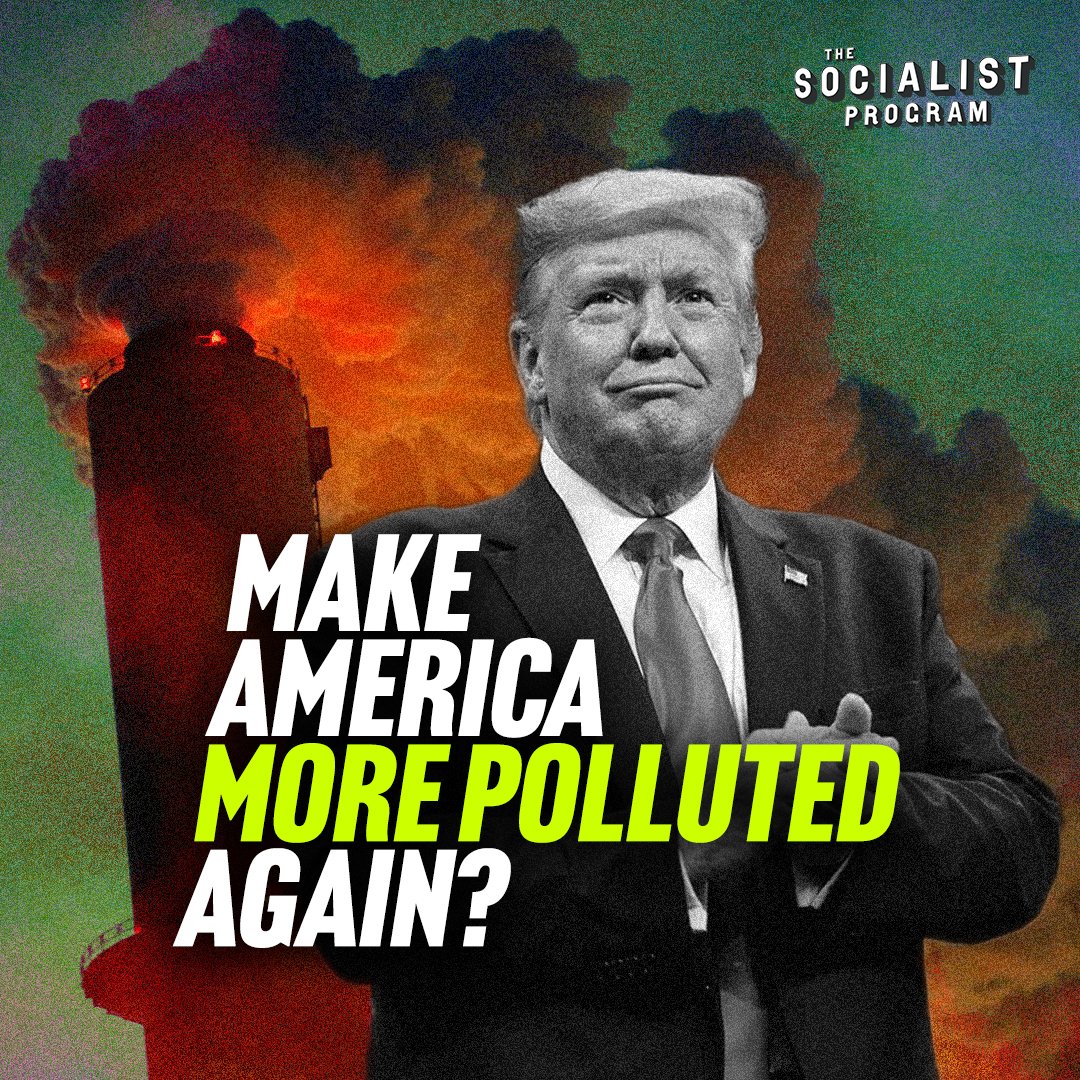 The Socialist Program tweet media