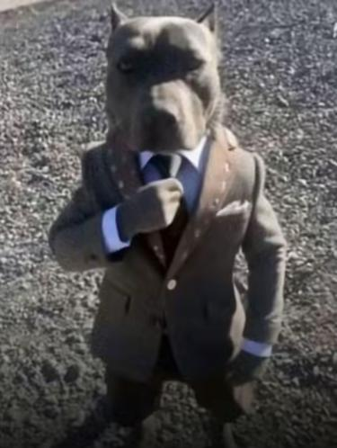 Liam | M1n1maL tweet media