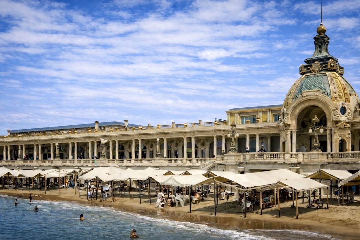 Pullback tweet media