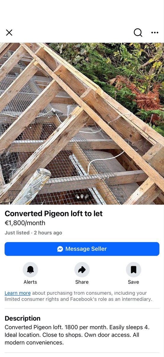 shaybarry80's tweet photo. @crazyhouseprice here’s one for you on facebook marketplace… they don’t even show the finished product. Swords https://t.co/cXt8YzFB4q