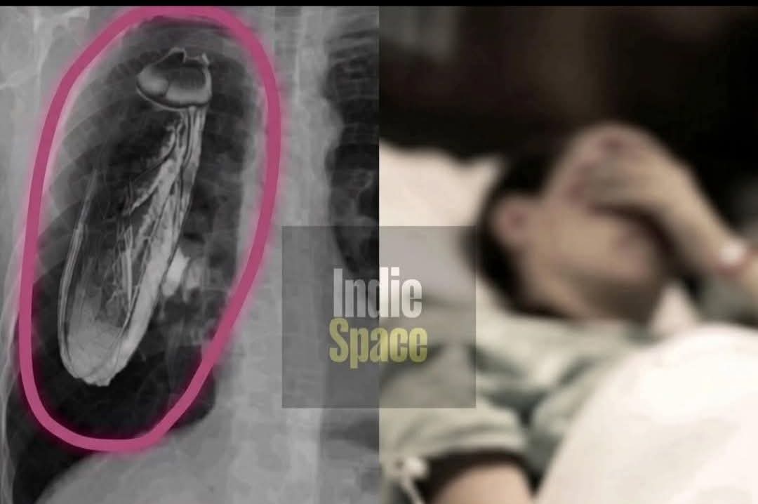 Koffi A. EWOVON tweet media