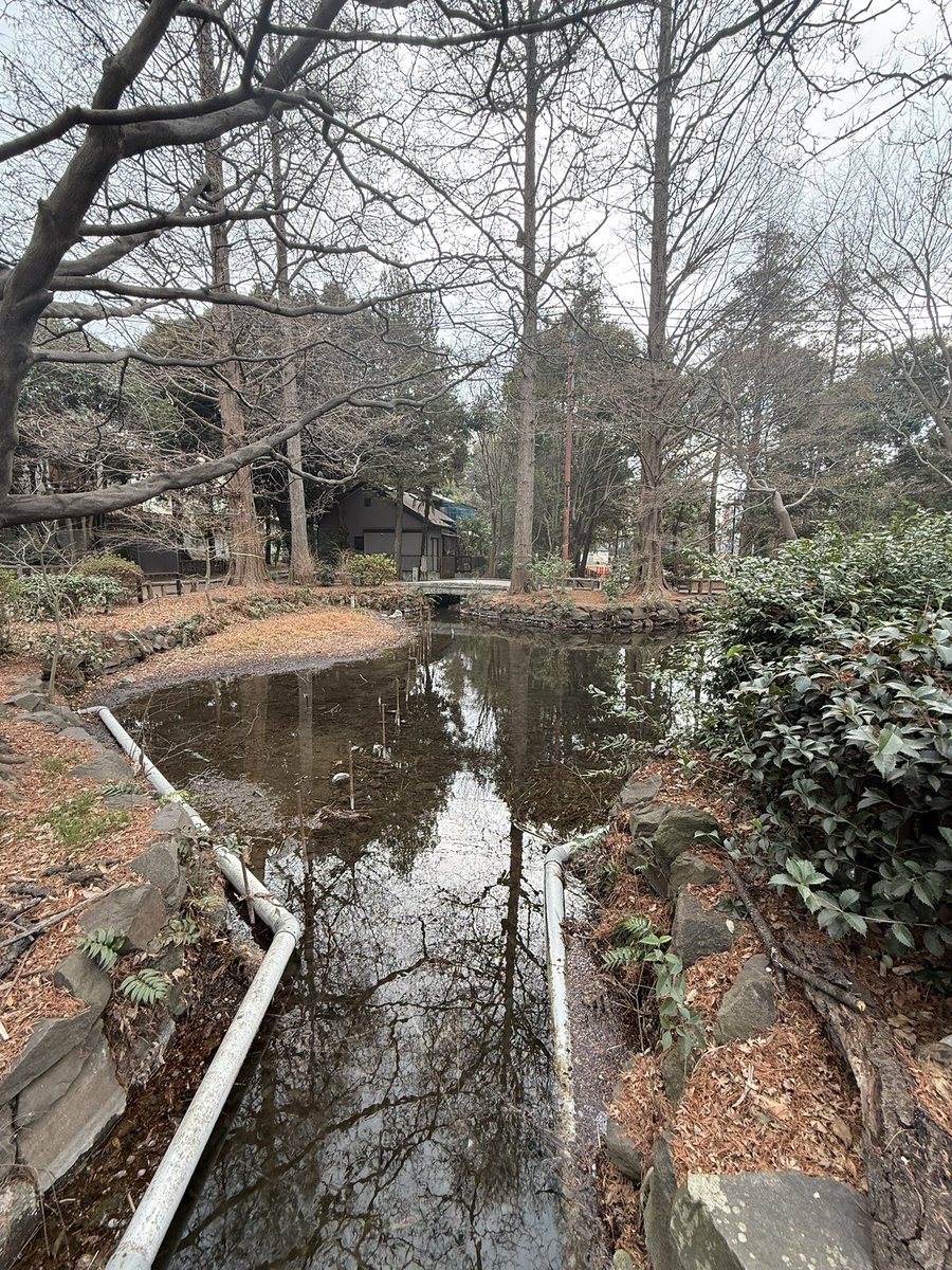 おはようございます。水門橋の流量を確認して、出かけます。