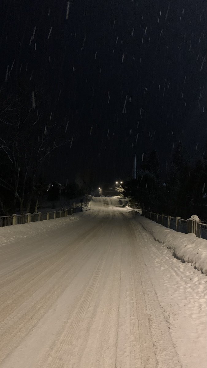 Absol1990's tweet image. A comfy and snowy walk tonight!❄️
No matter the season, it always feels so good to get away from everything and enjoy the beauties of nature! 
It's very effective for relieving stress in addition to doing cardio!
Whatever you do, always make the most of it!
BAU BAU!🩵🩷🐾