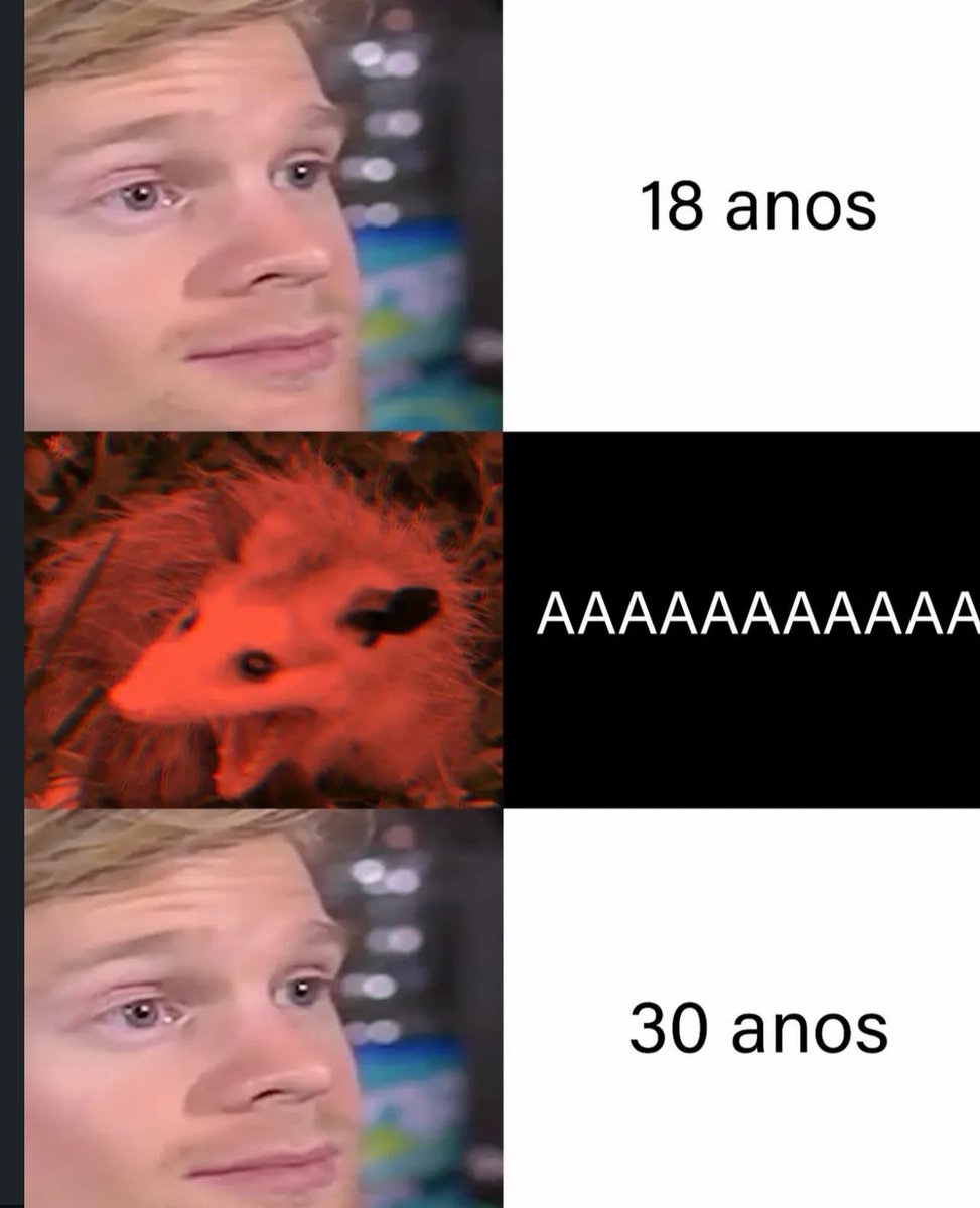 Shitpost só que de verdade (@shitpostverdade) on Twitter photo 