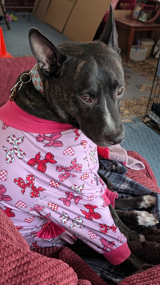 🐣🌷 Handsome Henry 🌷🐣 tweet media