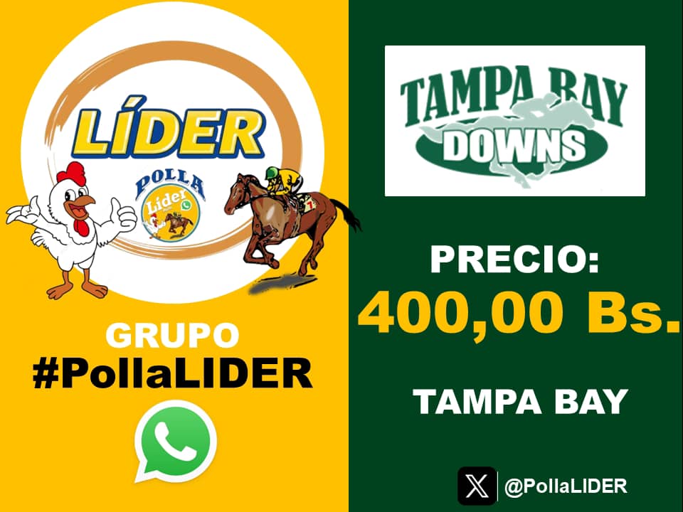 PollaLider's tweet photo. #Hipismo | ¿Eres apasionado al juego de pollas x puntos?

💵 MAÑANA VAMOS A JUGAR LA POLLA EN TAMPA BAY DOWNS.  💵

https://t.co/BGBUsPD7hc https://t.co/9P1BacAiK5