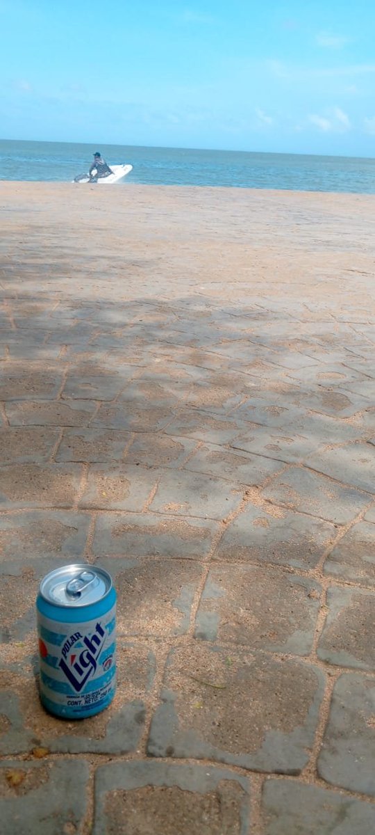 Sophia Navarro tweet media