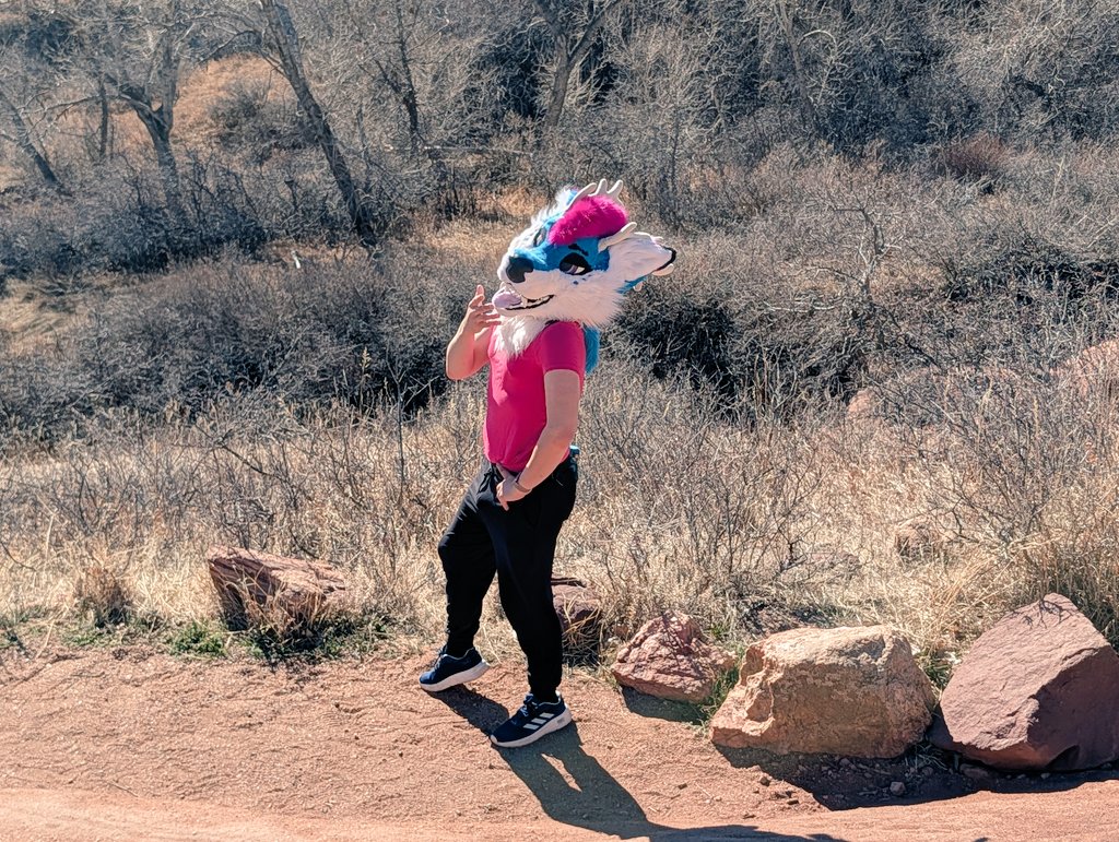 Ralph Da Dox tweet media