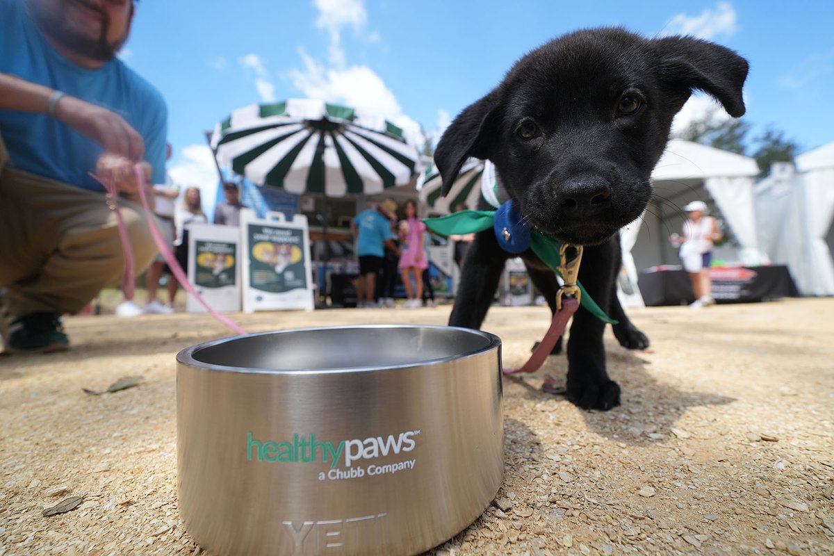 Healthy Paws, a Chubb Company tweet media