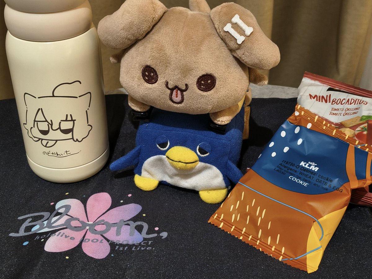 ちょろ (@tyoro) / Posts / X