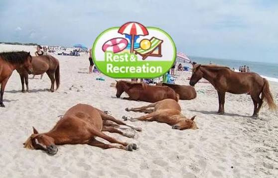 satonodiamondAR's tweet image. 