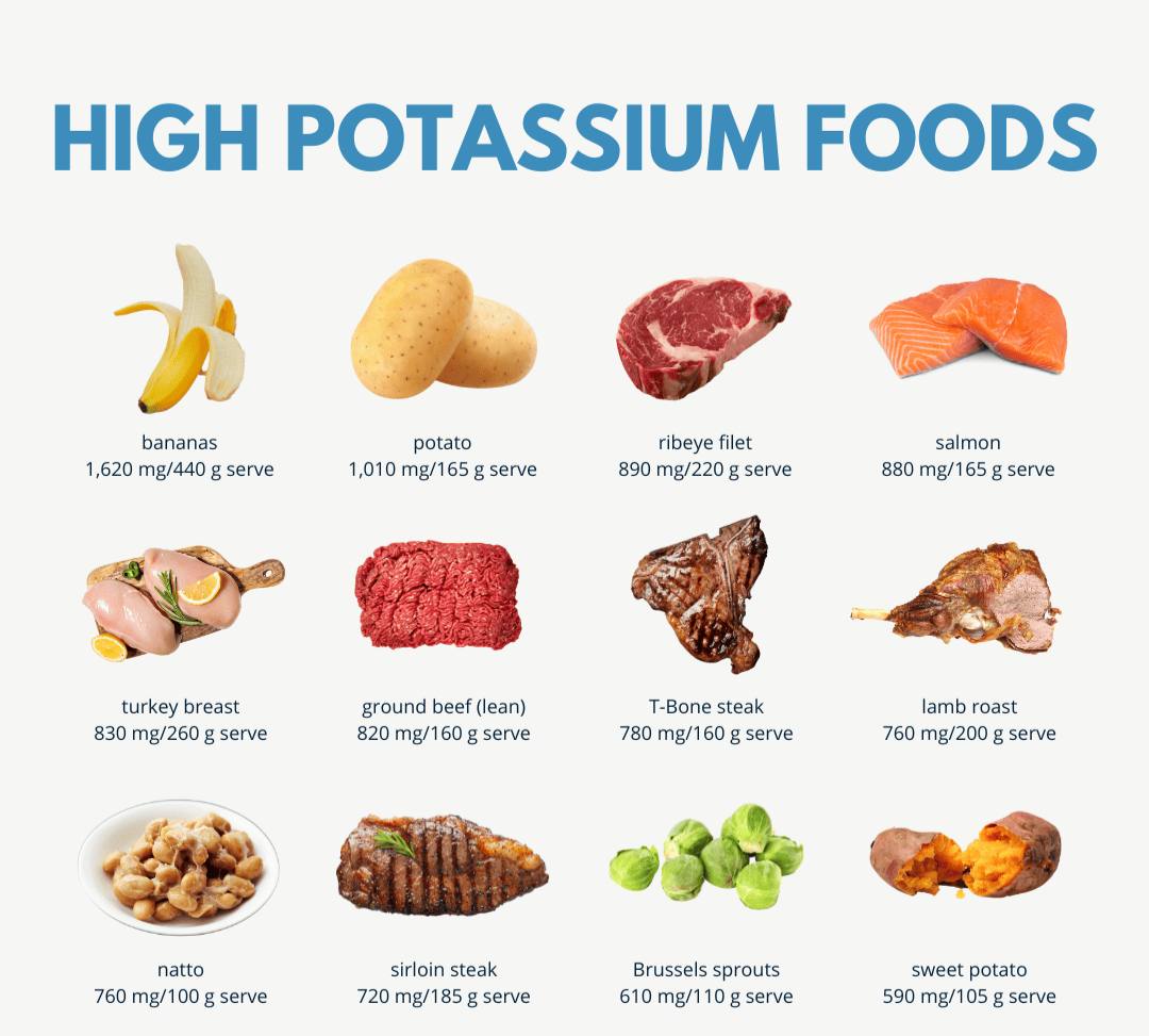 Foods rich with potassium 

JOIN 👉 <a href="/DoctorQJr/">DoctorQJr</a> 👨‍⚕️🥼🩺