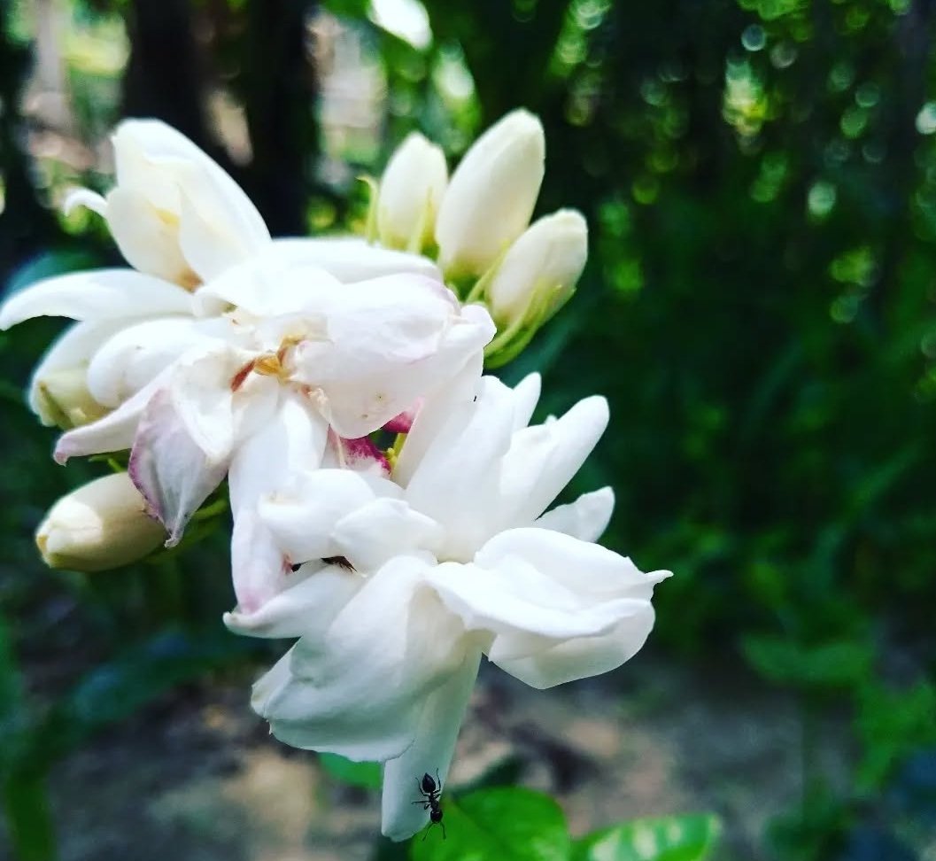 अधिकांश लोग जिंदगी नहीं जीते वे समाज द्वारा दी गई स्क्रिप्ट पढ़ते हैं,,,, जबकि जिंदगी कितना ज़्यादा जरूरी है...❤️

Good morning friends 🌻❤️