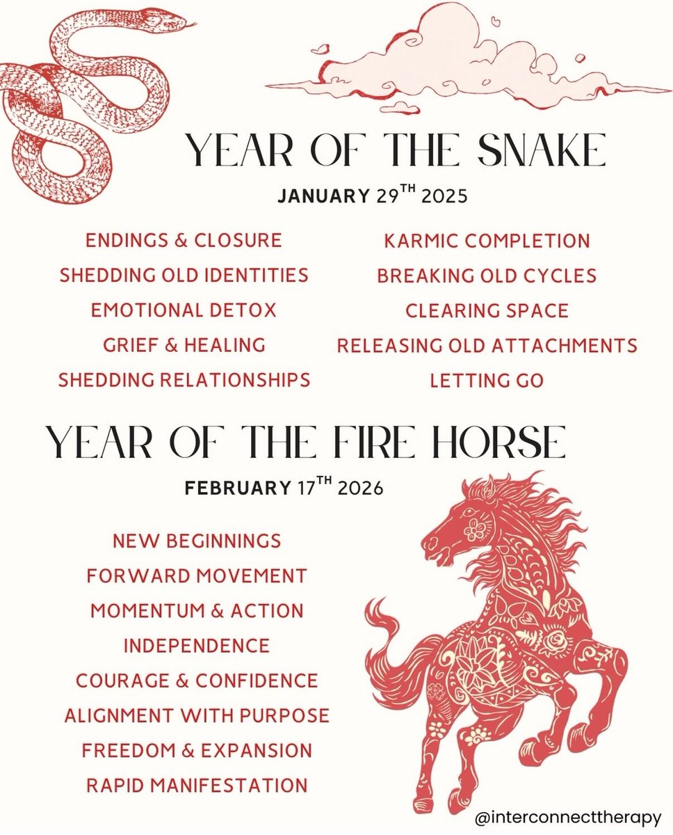 Eunji Paige Chung tweet media