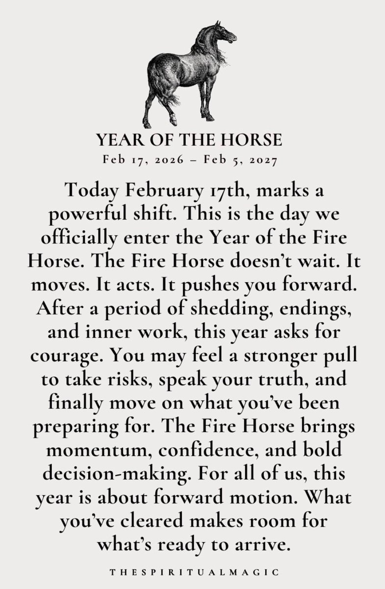 Eunji Paige Chung tweet media