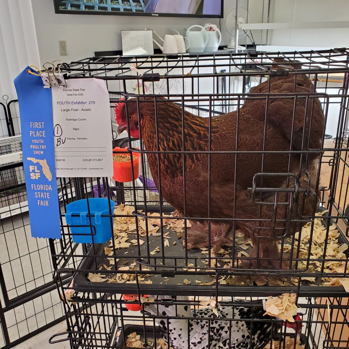 MiddletonHighSchool tweet media