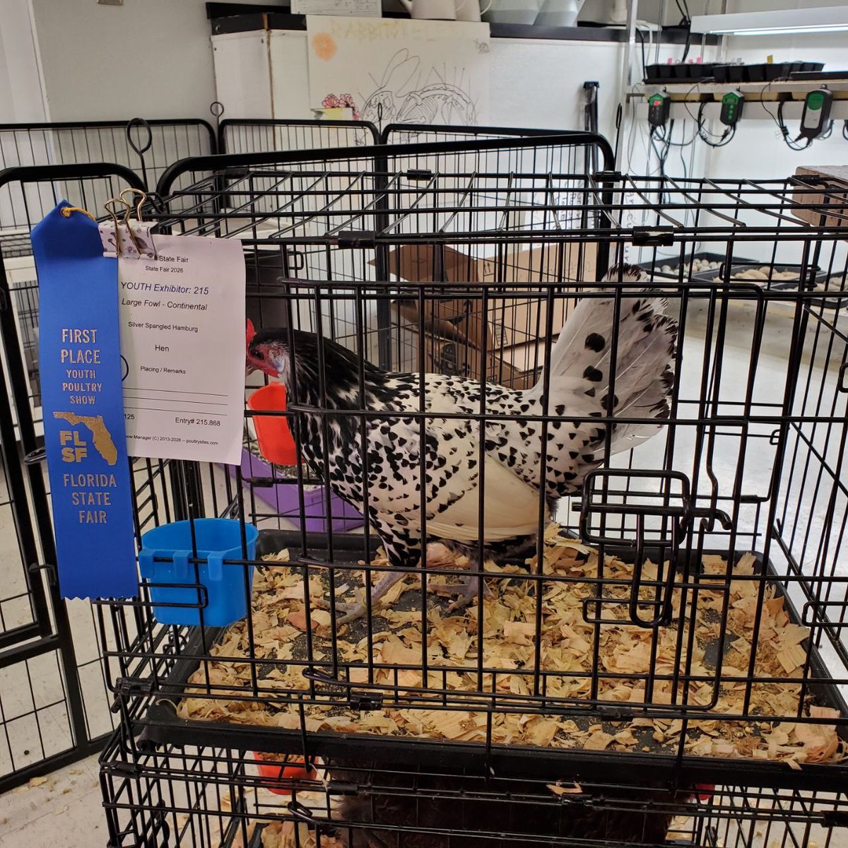 MiddletonHighSchool tweet media