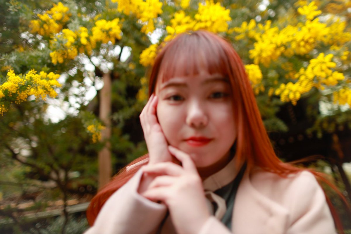 グッと❗️寄る

　　　　いや寄られた🤣

ピント📸追いつかず😅

model:碧井まき（＠aoimakimodel ）

#スナップポートレート 
#ミモザ 
#ミモザポートレート 
#広角ポートレート 
#EF24mmF14L2usm 
#EFオールドレンズ
