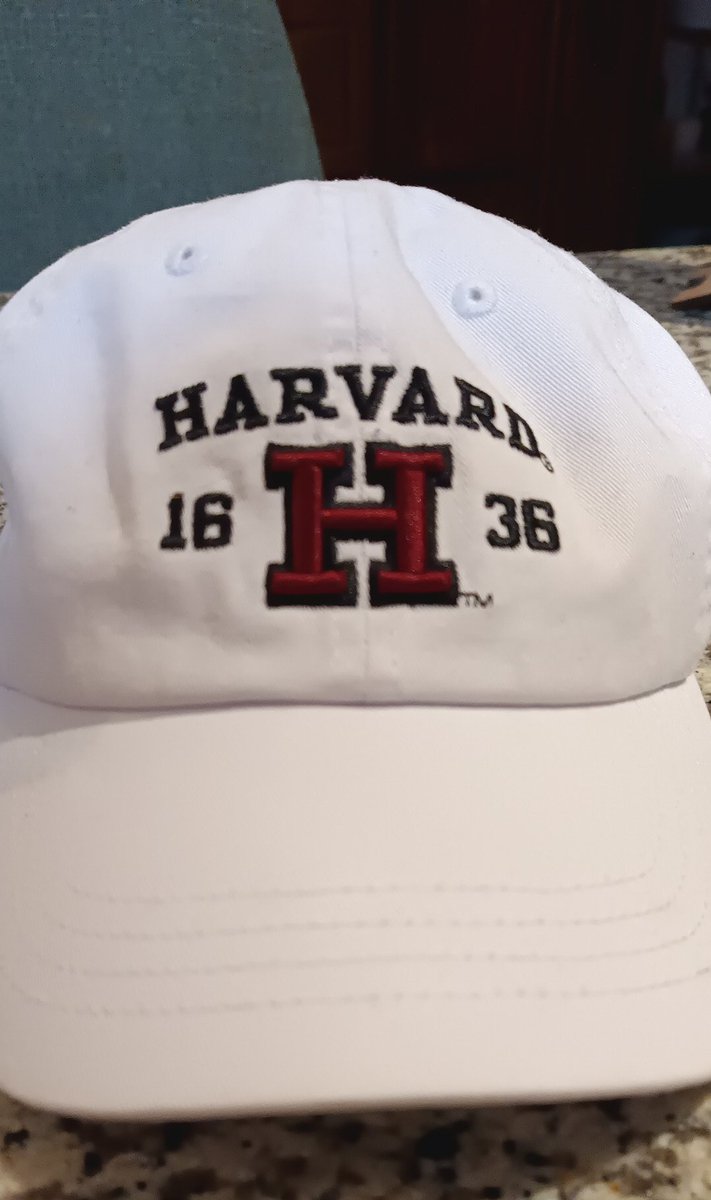 Fui a Harvard. Caminé por todo lado,hice un muñeco de nieve, fui a un bar y me compré una gorra. Suena como el resumen de años de universidad de un estudiante promedio.