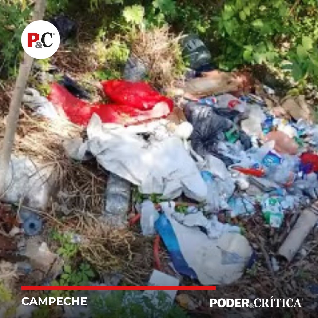#Campeche | Crisis de Basura en Isla Aguada: Un Problema que Afecta la Salud y el Turismo

poderycritica.com/crisis-de-basu…