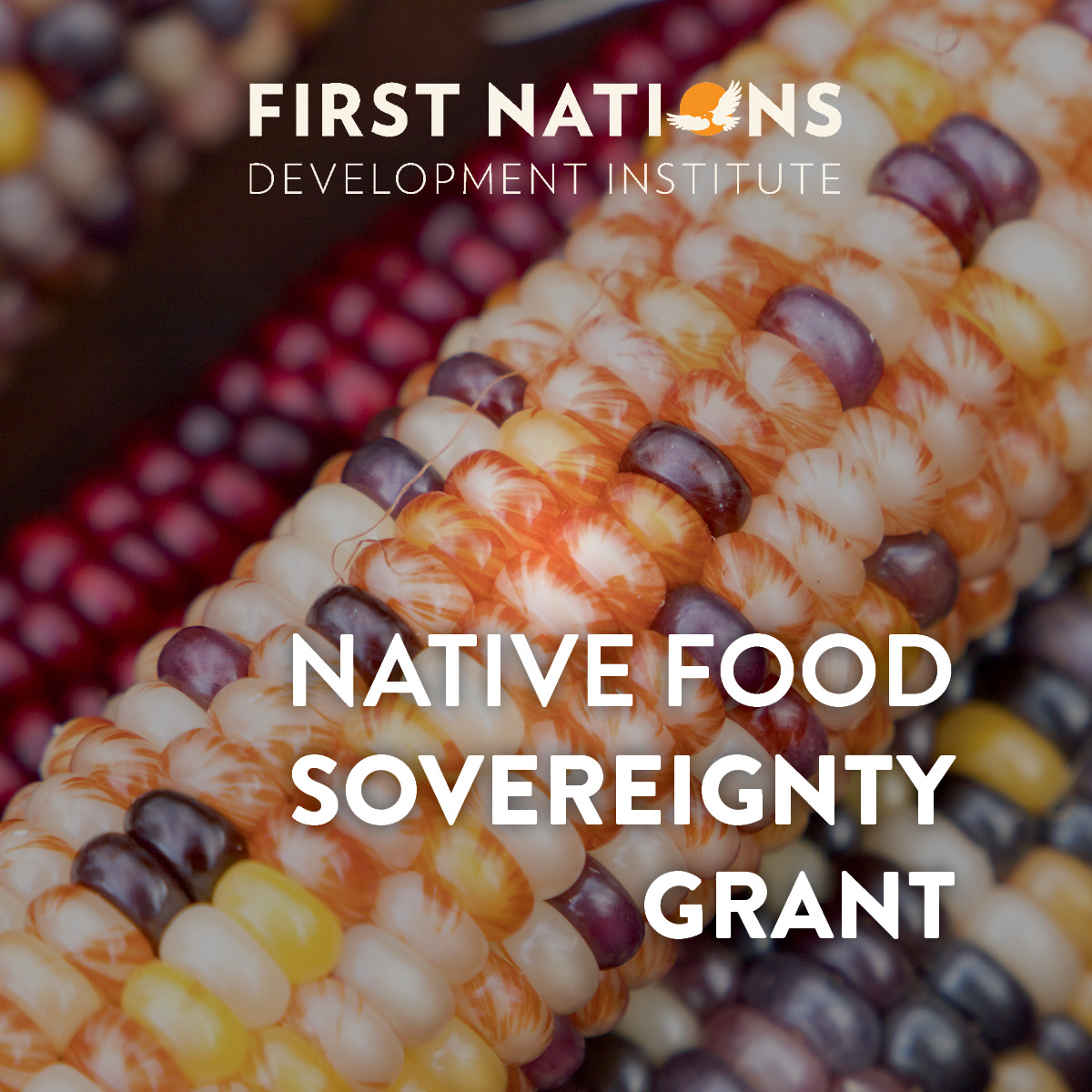 First Nations tweet media