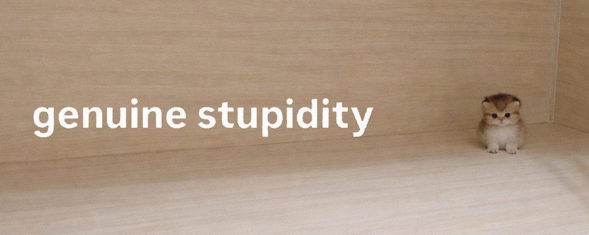 AI has been becoming WAY to advanced and showing growth to paths that could be detrimental to society. gs is the complete opposite of AI, in the form of a cat!

$gs > AI

CA: 7srEqjGT5FpbS5uwAUaSvXJ4JTv2XiyS4XUyajC1pump
